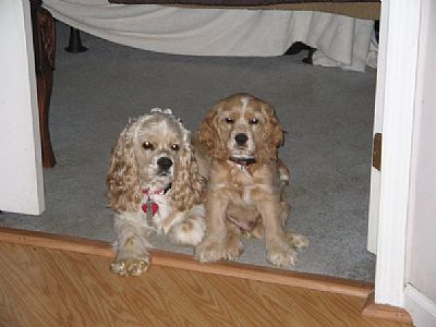 BeachBoy profile photo