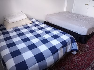 Pranto profile photo