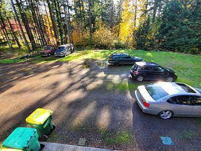 traloskensei profile photo