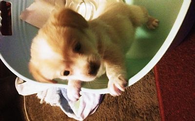 Iamhere35 profile photo