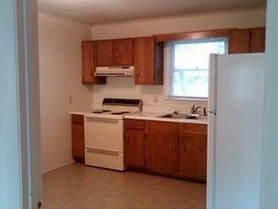 Benreingruber profile photo