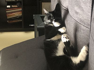 Layla&Brent profile photo