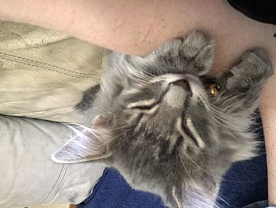 Layla&Brent profile photo