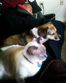 Hunkedumpty profile photo