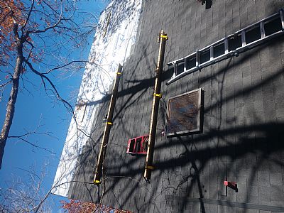 Coreopsis31 profile photo