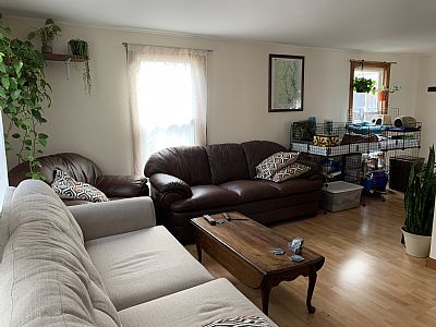 Graver44 profile photo