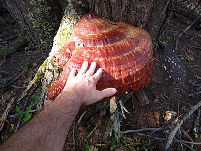 Rickrab profile photo