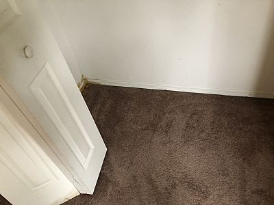 mclainmeghan679@gmail.com profile photo