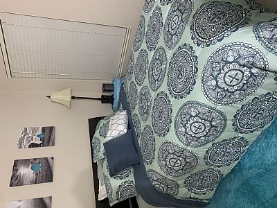 spashannon profile photo