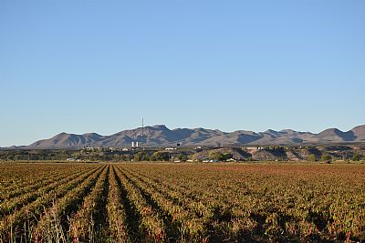 Lopezphd profile photo