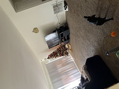 Carlyphillips profile photo