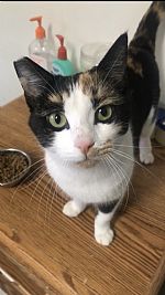 glassmo profile photo