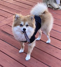 Jenchristianrn profile photo