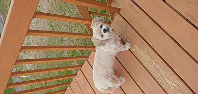 Beautifulanger profile photo