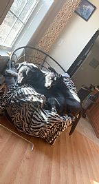 Shalespinkle profile photo