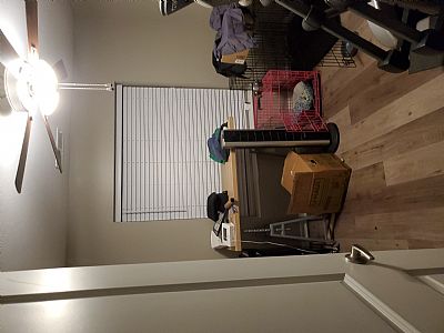 Kdsf8a profile photo