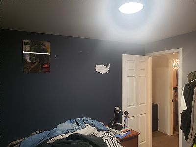 Doglovingguy37 profile photo