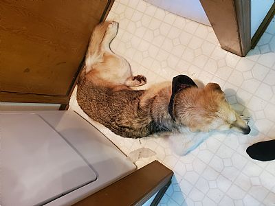 MattyMcCollum profile photo