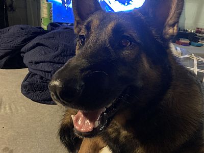 Ezzya98 profile photo