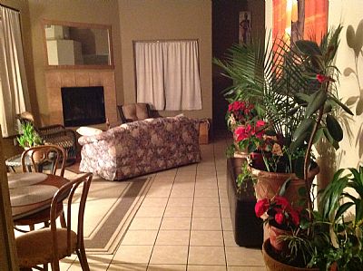 Adivarocks profile photo