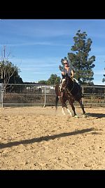 Scadabout profile photo