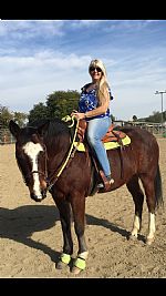 Scadabout profile photo