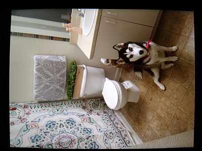 Lizzy_Leandra profile photo