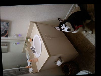 Lizzy_Leandra profile photo