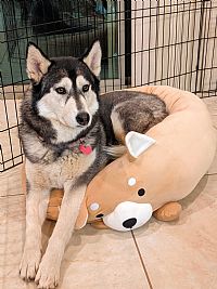 johnnyram profile photo