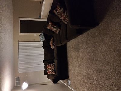 Shaygraves profile photo