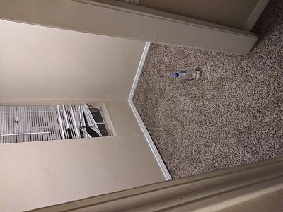 Shaygraves profile photo