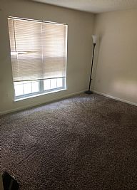 breep23 profile photo