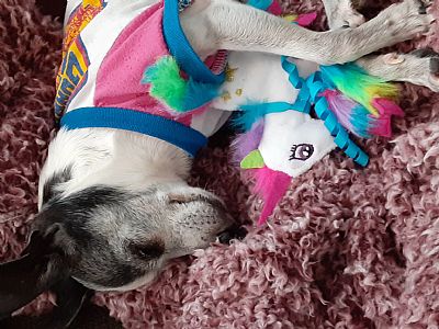 Jadedwine profile photo