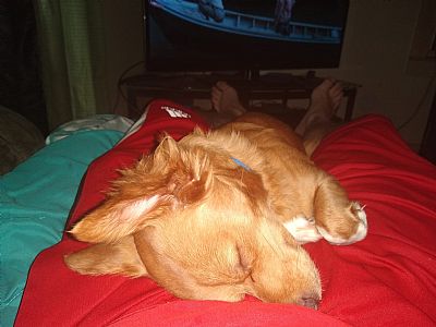 Troy1984 profile photo