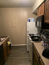 ryans_account profile photo