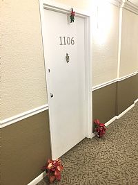 gsauls profile photo