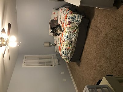 brookestafford profile photo