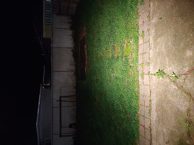 Kaylamcneeley profile photo