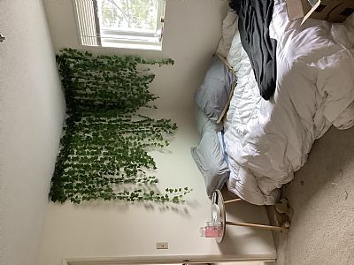 andreajcrane profile photo