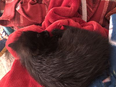 cteach profile photo