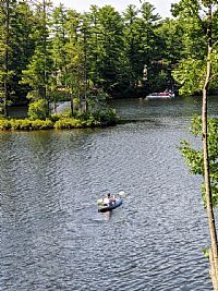 nicolelinscott profile photo