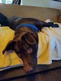 Karen333 profile photo