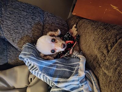 Karen333 profile photo