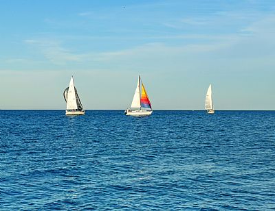 bcal96 profile photo