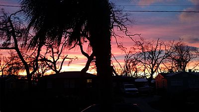 disisjc profile photo