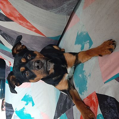 TOUCH_SCREEN_ID profile photo