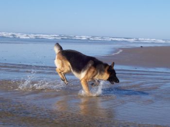 elisia profile photo