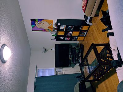 ktdwing profile photo