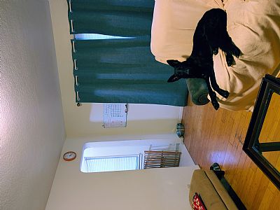 ktdwing profile photo