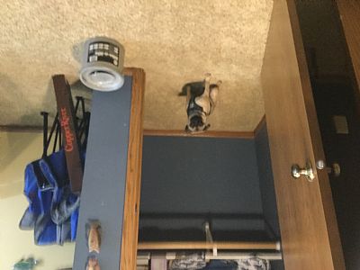 RhettH profile photo